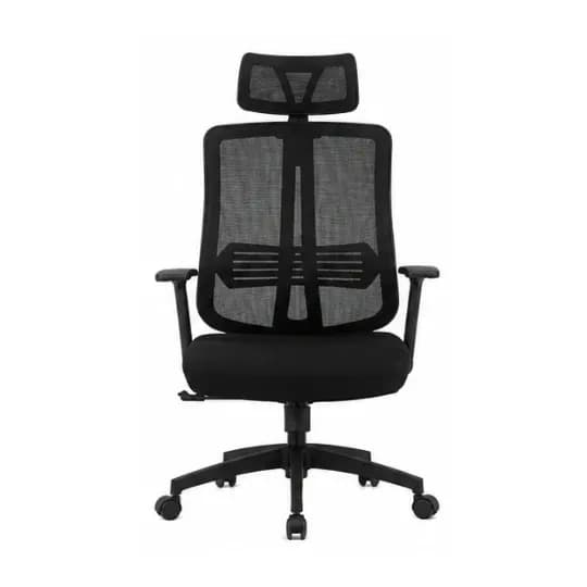 Cadeira Ergonômica Star Flex Pro, foto 1 de 4